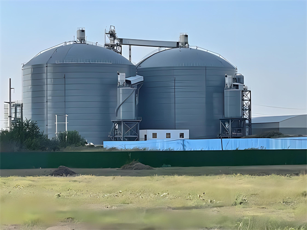 葫芦岛钢板仓建造施工方案详解